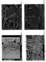 Fig. 04 - Microfiltration Membrane With Improved Filtration Properties
