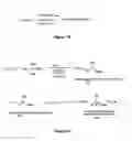 Fig. 03 - Reversibly switchable surfactants and methods of use thereof