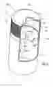 Fig. 06 - Stopper device for a receptacle neck, a receptacle fitted with such a device, and a method of fabricating such a device