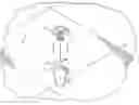 Fig. 01 - FIRE SPRINKLER HEAD PAINT COVER