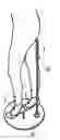 Fig. 01 - Structure mannequin model foot