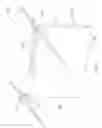 Fig. 22 - File folder