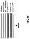 Fig. 07 - TRANSACTION CARD