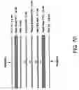 Fig. 09 - TRANSACTION CARD