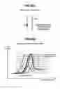 Fig. 20 - Method and apparatus for measuring pattern dimensions