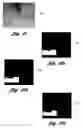 Fig. 07 - Method and system for detecting objects using far infrared images