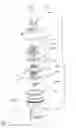 Fig. 05 - ADJUSTABLE MECHANICAL DEVICE FOR CONTROLLING VALVE CLOSURE SPEED