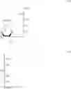 Fig. 03 - Siloxane-Containing Formulation for Reducing Crease Formation