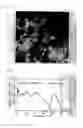 Fig. 03 - Phosphor production method