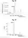 Fig. 24 - Micro-bubble generator, vortex breakdown nozzle for micro-bubble generator, vane swirler for micro-bubble generator, micro-bubble generating method, and micro-bubble applying device