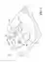 Fig. 05 - Denture flask mould press and method of use