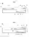 Fig. 07 - Feeding device and image forming apparatus