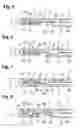Fig. 03 - Metal laminate gasket