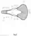 Fig. 09 - Bicycle saddle