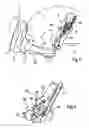 Fig. 02 - Motor Vehicle