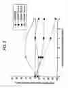 Fig. 06 - VIBRATING-TYPE MOTOR