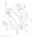 Fig. 03 - Assembly of electronic components for electrical rotating machine