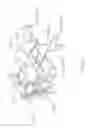 Fig. 12 - Assembly of electronic components for electrical rotating machine