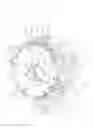 Fig. 26 - Assembly of electronic components for electrical rotating machine