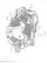 Fig. 29 - Assembly of electronic components for electrical rotating machine