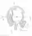 Fig. 34 - Assembly of electronic components for electrical rotating machine