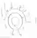 Fig. 44 - Assembly of electronic components for electrical rotating machine