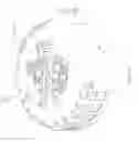 Fig. 57 - Assembly of electronic components for electrical rotating machine