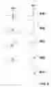 Fig. 13 - MEMS ACTUATORS AND SWITCHES