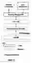 Fig. 11 - Traceability And Authentication Of Security Papers