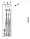 Fig. 05 - Methods and devices for providing scalable RFID networks