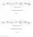 Fig. 02 - Method and apparatus of generating or reconstructing display streams in video interface systems