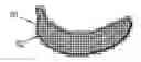 Fig. 01 - TISSUE STIFFNESS ASSIGNMENT