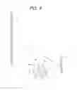 Fig. 09 - PROJECTION TYPE IMAGE DISPLAY APPARATUS