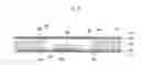 Fig. 07 - Package board and method for manufacturing thereof