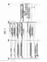 Fig. 04 - Mobile network and handover method thereof