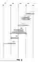 Fig. 06 - Methods and apparatus for broadcast optimization in mobile IP
