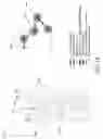 Fig. 17 - Mechanism for automatic network formation and medium access coordination
