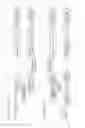 Fig. 02 - Transmission-reception apparatus