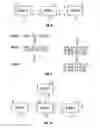 Fig. 04 - Bridged cryptographic VLAN