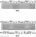 Fig. 03 - System and method for communicating over mesh networks using waveform-enhanced, link-state routing