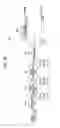 Fig. 29 - Image processing device and method, recording medium, and program