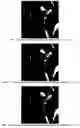 Fig. 14 - Apparatus and method for reversible data hiding for JPEG images