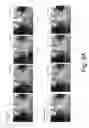Fig. 06 - Pixel extraction and replacement