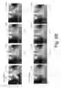 Fig. 07 - Pixel extraction and replacement