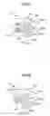 Fig. 06 - Developing device, process cartridge, and image forming apparatus