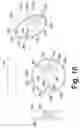 Fig. 17 - Motor and method of operating the same