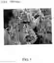 Fig. 06 - Elemental material and alloy
