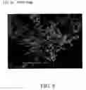 Fig. 09 - Elemental material and alloy