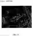Fig. 10 - Elemental material and alloy