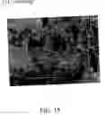 Fig. 16 - Elemental material and alloy